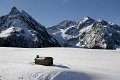 Campsaure_007