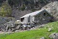 Vallon_Aas