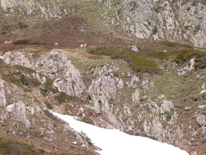 Chérue007